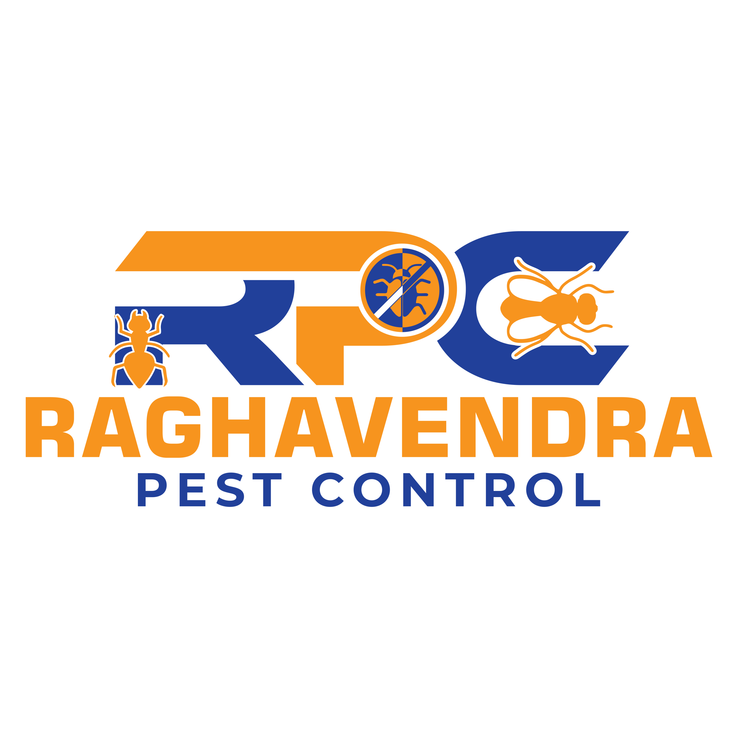 raghavendrapestcontrol.in